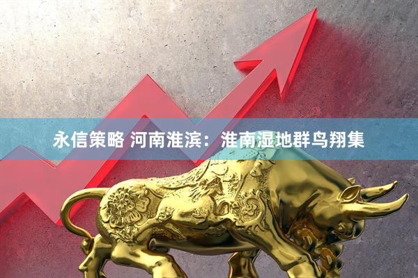 永信策略 河南淮滨：淮南湿地群鸟翔集